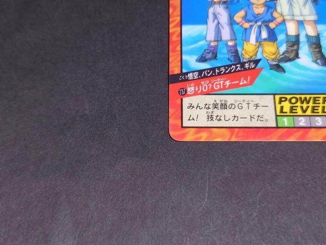 hS{[ J[h_X X[p[og 17e No.737 ApAgNXAM/BvY hS{[GT  Aj/R~bN/LN^[ 