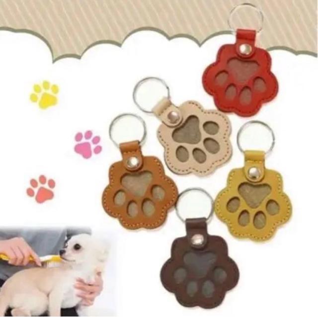 ���� �L�[�z���_�[ �������F �u���E�� ���U�[�� �� �L �o�b�O ���p �� �y�b�g/��|/���|�� 