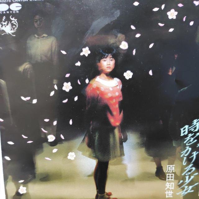 ���c�m���@�V���O�����R�[�h�@���������鏭��  �� CD/DVD/�r�f�I�� 