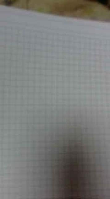 ݔ񔄕iEeSS`Otm[g  ^gObY 