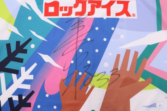 #33 J ZI gpEMTCV[eBOVc(B)