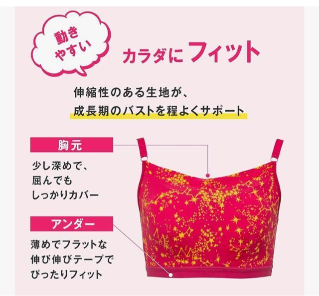 �yS�z�ԃs���N�@���V�A�������u���@�W���j�A�u���@�X�|�[�c�u���@���K�u���@ LECIEN �m�����C���[ �u���W���[�@����u���@������ �� �����t�@�b�V������ 