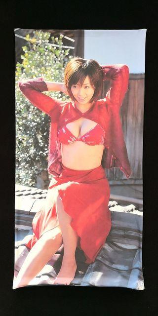 ☆☆井上和香 ☆抱き枕カバー 新品未開封 < タレントグッズ  ☆☆井上和香 ☆抱き枕カバー 新品未開封  < タレントグッズの