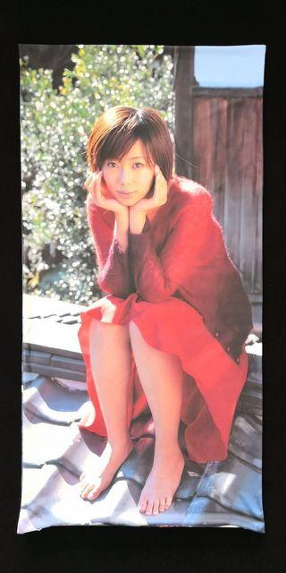 ☆☆井上和香 ☆抱き枕カバー 新品未開封 < タレントグッズ  ☆☆井上和香 ☆抱き枕カバー 新品未開封 < タレントグッズの