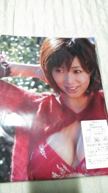 ☆☆井上和香 ☆抱き枕カバー 新品未開封 < タレントグッズ  ☆☆井上和香 ☆抱き枕カバー 新品未開封 < タレントグッズの