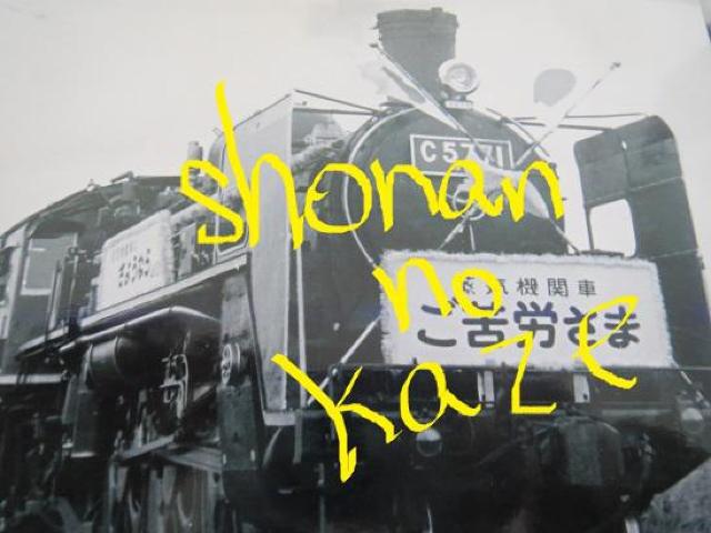 {łȂ^]bTVVP̑{łB  zr[ 