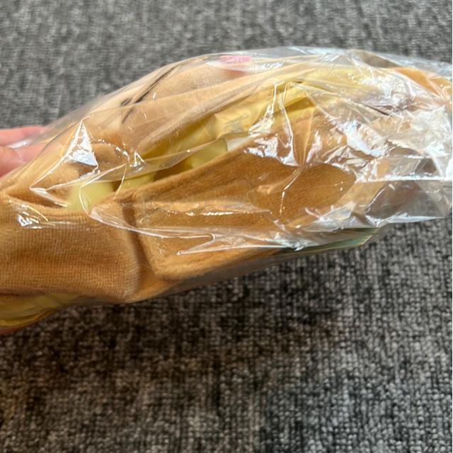 iij̔蕨Eoii  ybg/|/| 