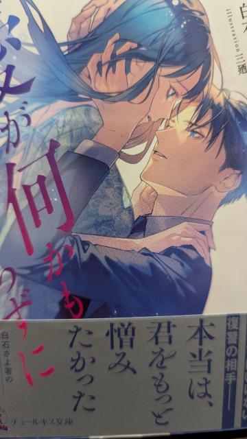 愛が何かもわからずに★白石さよ★チュールキス文庫 < 本/雑誌 愛が何かもわからずに★白石さよ★チュールキス文庫 < 本/雑誌の