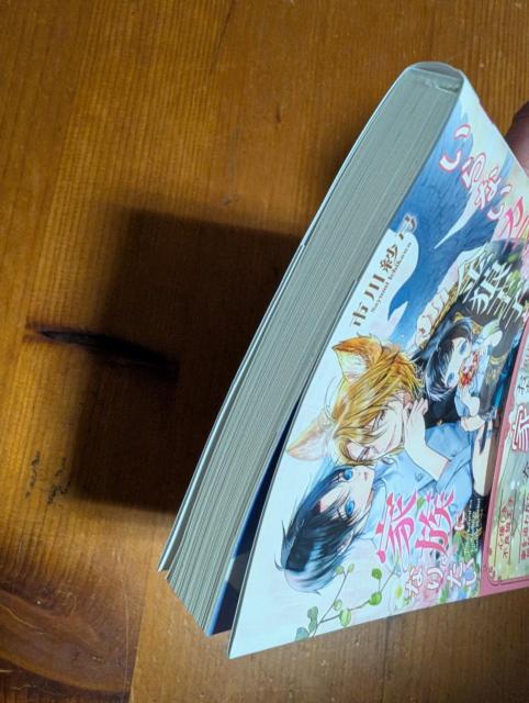 小説 BL 9月刊 いらないカラスは金狼王子と家族になりたい 市川紗弓 文庫 < 本/雑誌 小説 BL 9月刊 いらないカラスは金狼王子と家族になりたい 市川紗弓 文庫 < 本/雑誌の