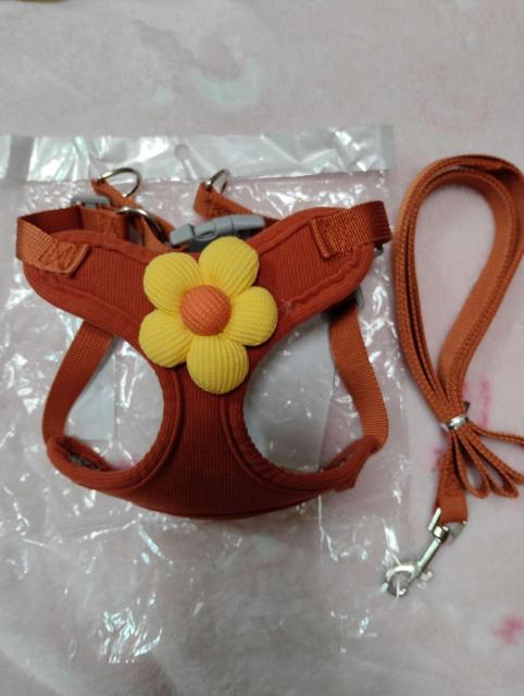 �������ԏ��� ���b�V���n�[�l�X�����[�h�Z�b�g ���^���E�L�p �I�����W S�T�C�Y  �� �y�b�g/��|/���|�� 