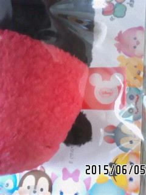 jN~fBYj[E~jTCYccʂ݁B~bL[   