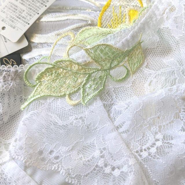 salute/T[g/70G/u[QrA/nC/\OTobNV[c/WH/M/H  t@bV 