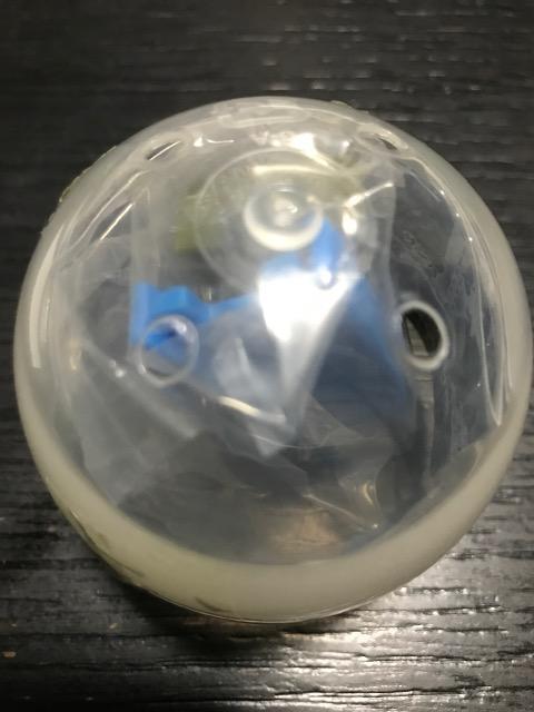 JvZv[@g[}X@̃{_[ƃXL[ҁ@ԗύڎԁ@J   zr[ 