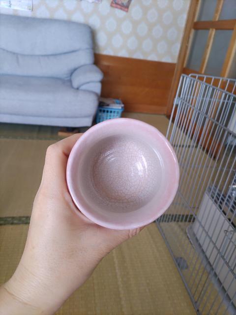 ݂̓Ƃ񂲂̏MZbg  CeA/Ct 