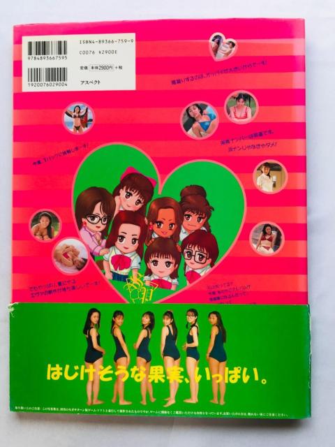 Aoy@Zg|[Aw@@t@ubNʐ^W@Ł@ Official Fan Book Photo SS  Q[{/\tg 