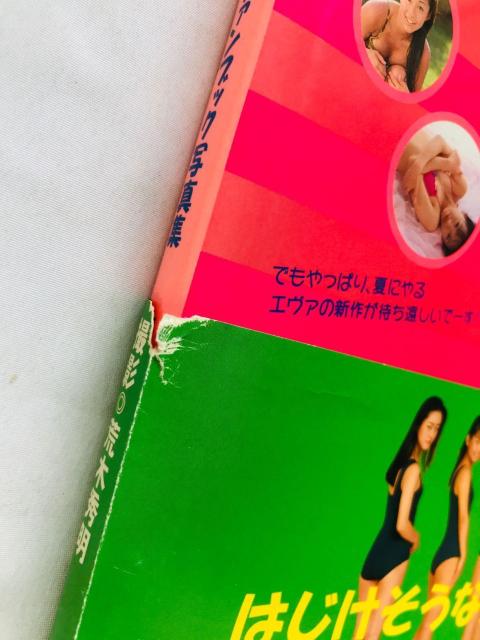 Aoy@Zg|[Aw@@t@ubNʐ^W@Ł@ Official Fan Book Photo SS  Q[{/\tg 