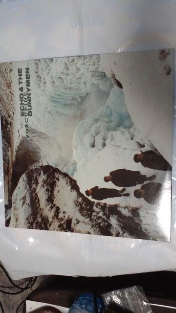 GR[UEoj[/|[LpCm܂炵n   CD/DVD/rfI 
