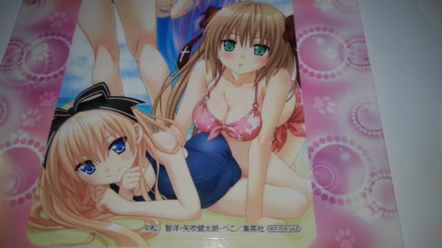 迷い猫オーバーラン ! 非売品 限定 シール イラストカード Sランク < アニメ/コミック/キャラクター  迷い猫オーバーラン ! 非売品 限定 シール イラストカード Sランク < アニメ/コミック/キャラクターの