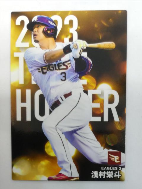 ʗX֑@v싅`bvX2024 T-15 󑺉hl   g[fBOJ[h 