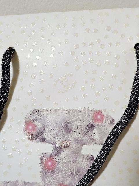 (2) CHANEL ギフト限定香水瓶モチーフ ショップ袋 中1枚 28p×23p < ブランド  (2) CHANEL ギフト限定香水瓶モチーフ ショップ袋 中1枚 28p×23p < ブランドの