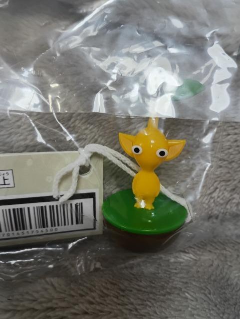 �s�N�~���A�����t�B�M���A���F  �� �z�r�[�� 