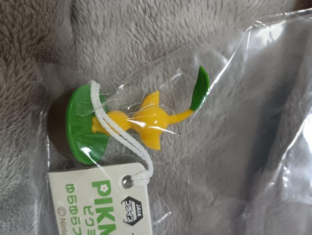 �s�N�~���A�����t�B�M���A���F �� �z�r�[�� 