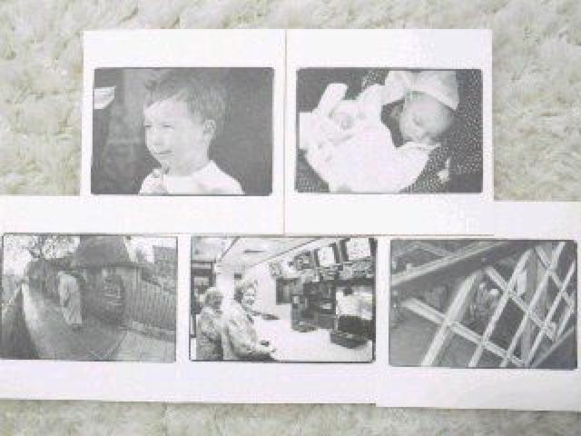 sNewt|XgJ[h<10Zbg>photo by{^(Hello)yP[Xtz  ^gObY 