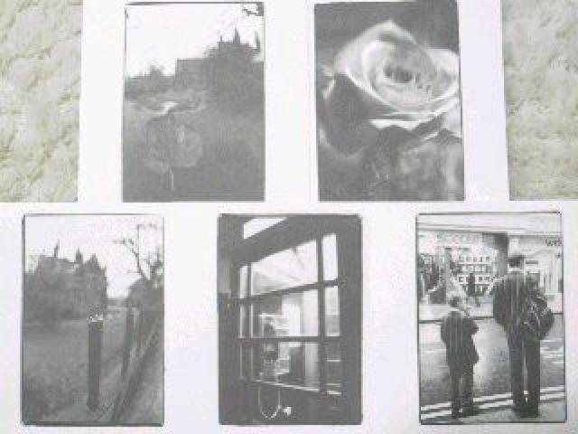 sNewt|XgJ[h<10Zbg>photo by{^(Hello)yP[Xtz  ^gObY 