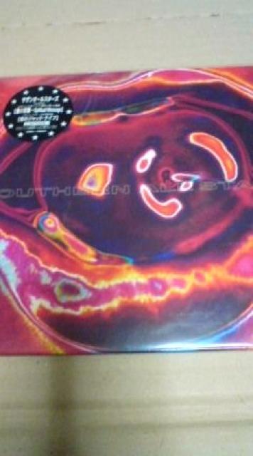 TUI[X^[YAVOR[ȟ   CD/DVD/rfI 