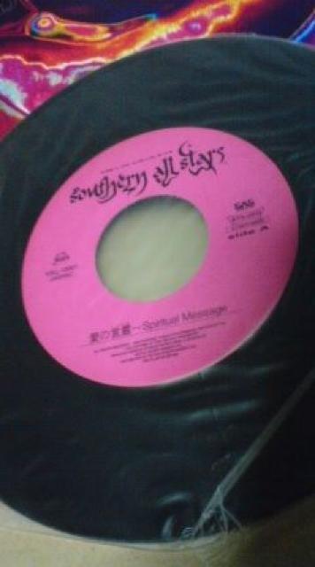 TUI[X^[YAVOR[ȟ  CD/DVD/rfI 