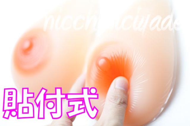【粘着式】抜群の一体感■シリコンバスト400g人工乳房性転換 < 女性ファッション  【粘着式】抜群の一体感■シリコンバスト400g人工乳房性転換 < 女性ファッションの