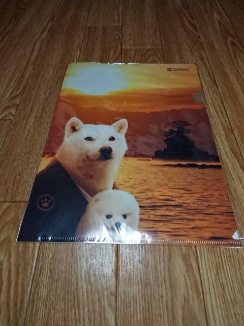 \tgoN 񔄕iNAt@C gp   zr[ 