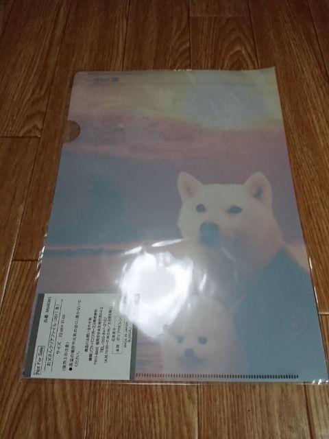 \tgoN 񔄕iNAt@C gp  zr[ 