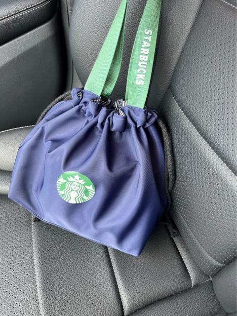 �y�X�^�[�o�b�N�X�C�O����z�X�^�o���{�������@�g�[�g�o�b�N�@�ٓ��o�b�O�@�������� �u���[