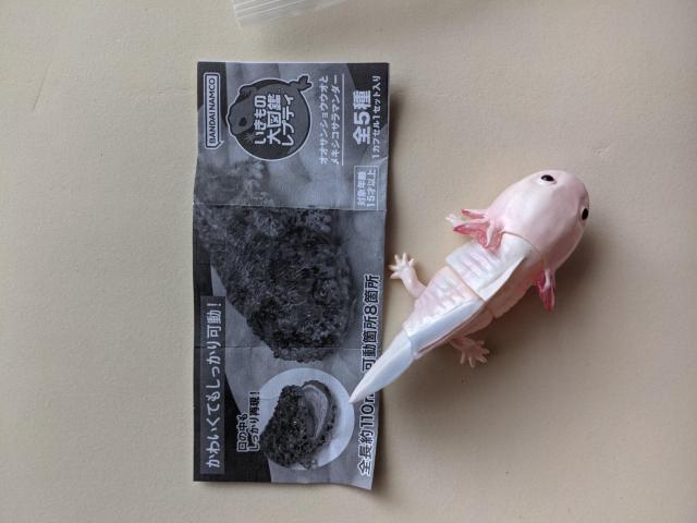 ̑}ӃveB  E[p[[p[(sN) LVRT}_[   K`    