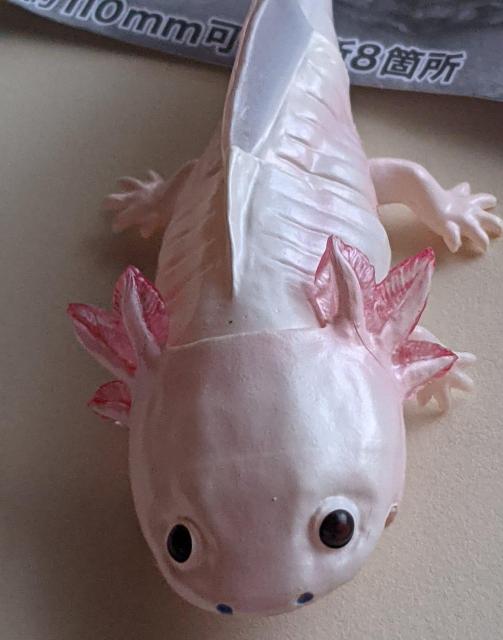 ̑}ӃveB  E[p[[p[(sN) LVRT}_[   K`   