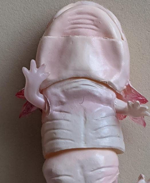 ̑}ӃveB  E[p[[p[(sN) LVRT}_[   K`   