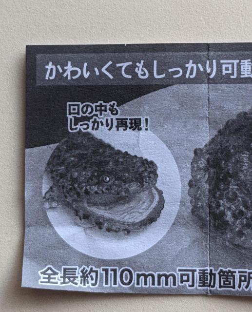 ̑}ӃveB  E[p[[p[(sN) LVRT}_[   K`   