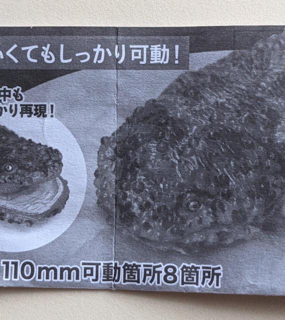 ̑}ӃveB  E[p[[p[(sN) LVRT}_[   K`   