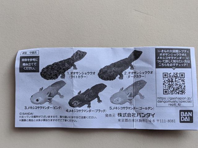 ̑}ӃveB  E[p[[p[(sN) LVRT}_[   K`   