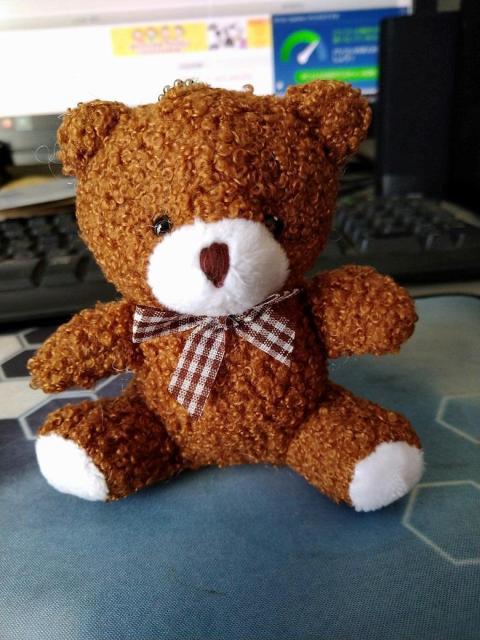 1_@390~N}̂ʂ݁@obȌɂǂH   