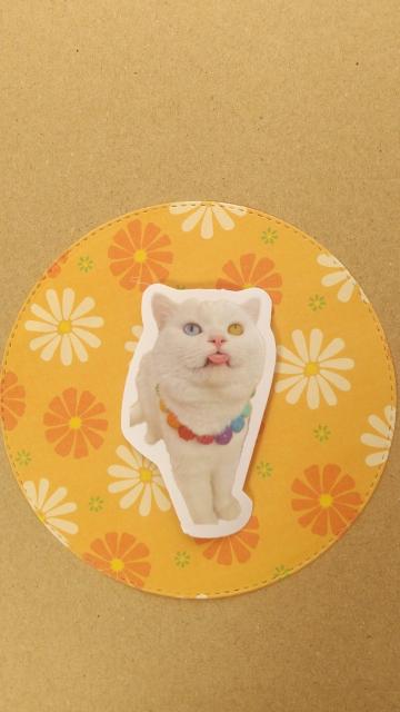 C猫ちゃん シールステッカー < インテリア/ライフ C猫ちゃん シールステッカー < インテリア/ライフの