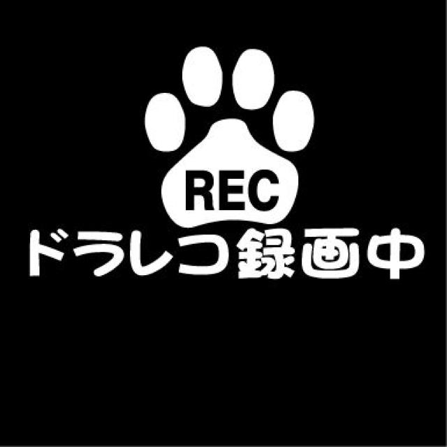 肉球 ドラレコ録画中 A 12センチ < 自動車/バイク 肉球 ドラレコ録画中 A 12センチ < 自動車/バイク