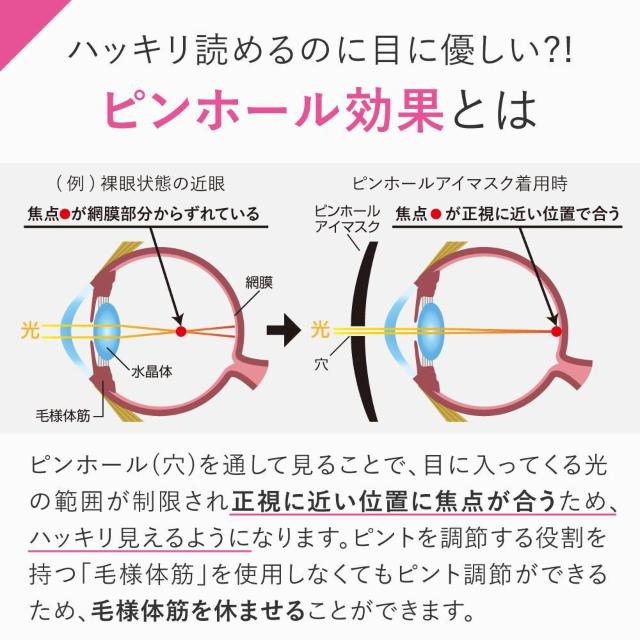 |Xg  At@bNX OtF sgAC AC}XN sz[ ؃g[jO 2way yG݁z  CeA/Ct 