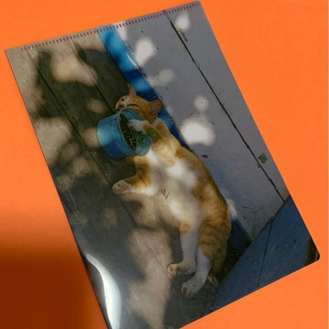 こねこのファイル 販促品 < インテリア/ライフ  こねこのファイル 販促品  < インテリア/ライフの