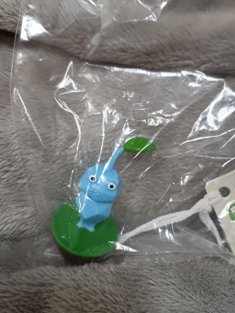 �s�N�~���A�����t�B�M���A���F  �� �z�r�[�� 