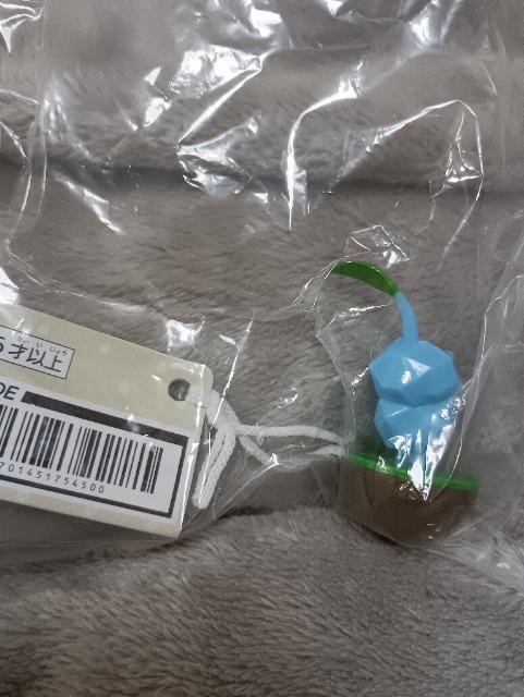 �s�N�~���A�����t�B�M���A���F �� �z�r�[�� 