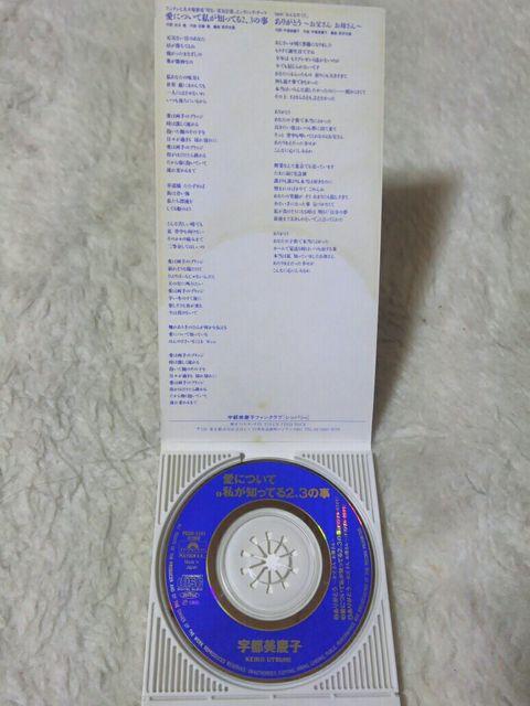 CDs Fscq ɂĎmĂ2A3̎  '95/2  ^gObY 