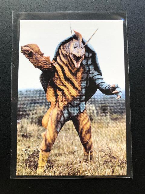 2006Jr[ʃC_[t@Ci/mn-549EEc{KX   g[fBOJ[h 