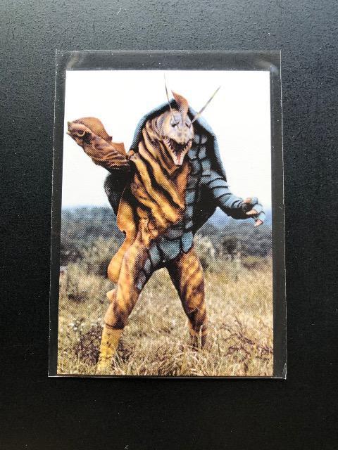 2006Jr[ʃC_[t@Ci/mn-549EEc{KX  g[fBOJ[h 